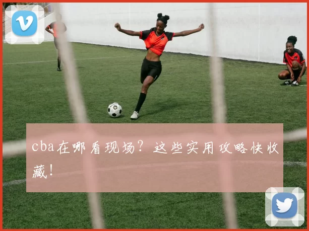 cba在哪看现场？这些实用攻略快收藏！