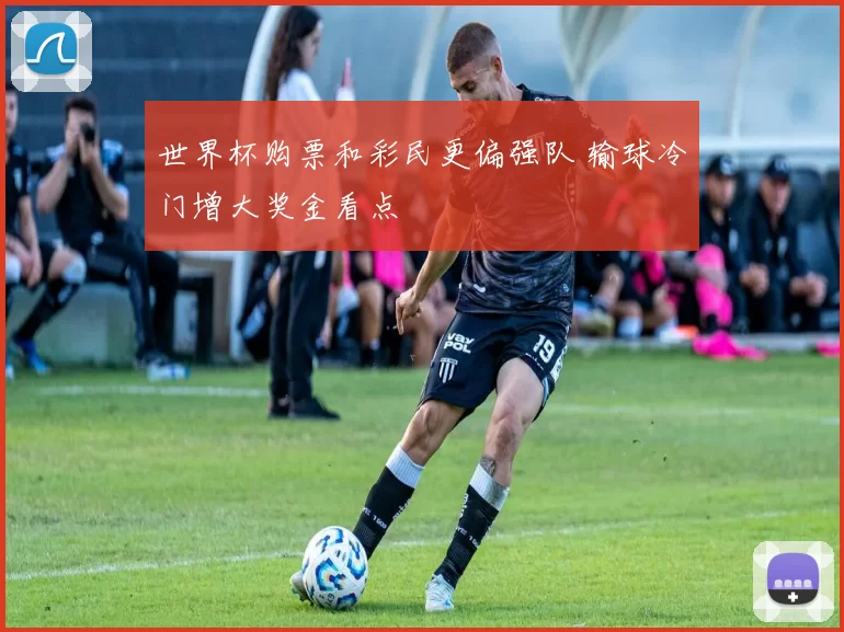 世界杯购票和彩民更偏强队 输球冷门增大奖金看点