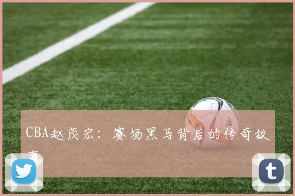 CBA赵茂宏:赛场黑马背后的传奇故事