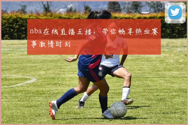nba在线直播五楼，带你畅享热血赛事激情时刻